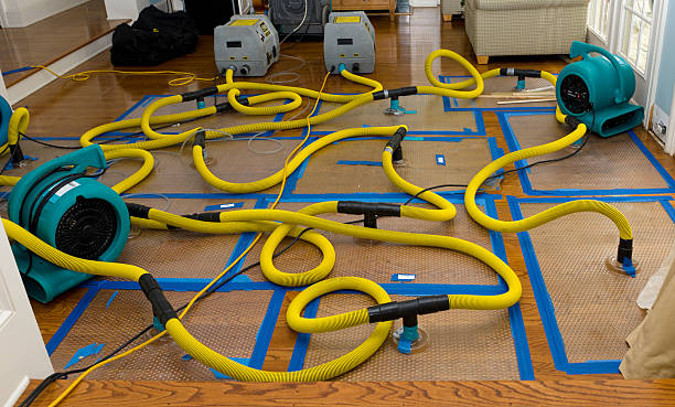Professional Basement Flood Cleanup technician working in Victor, CO